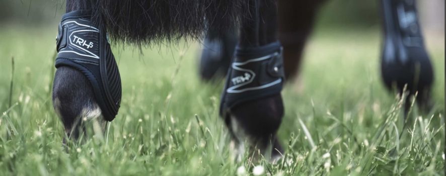 Front vs. Hind Horse Boots: Choosing the Right Protection