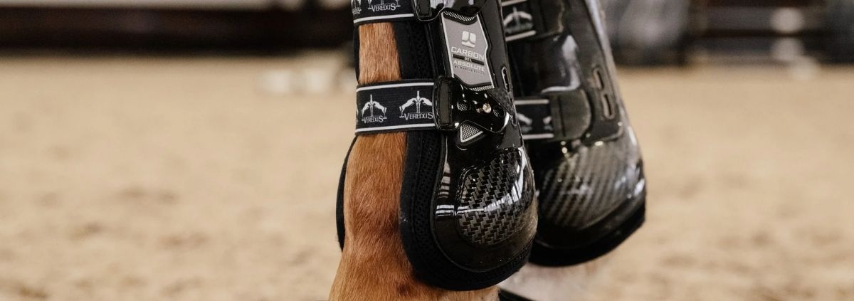 Which Horse Boots Does My Horse Need? Veredus Guide