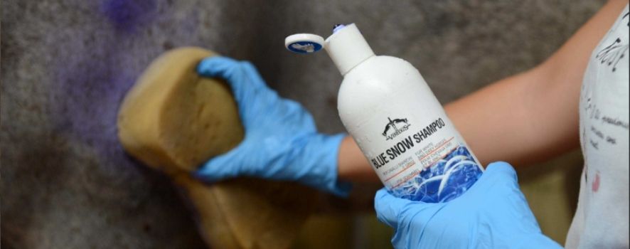 Blue Snow Shampoo