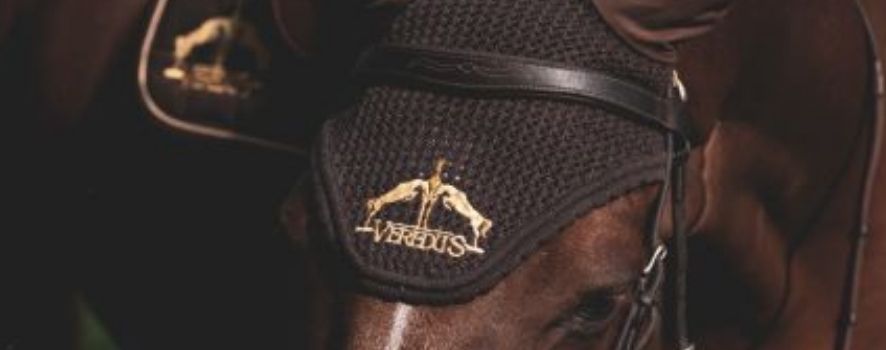Fly Fringe Grand Slam Golden Edition