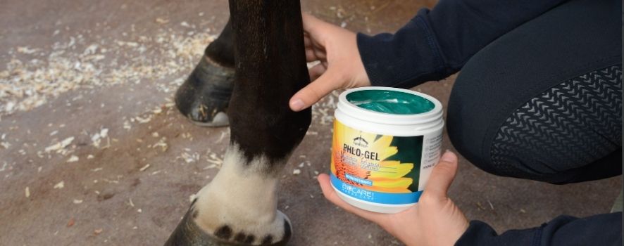Phlo Gel