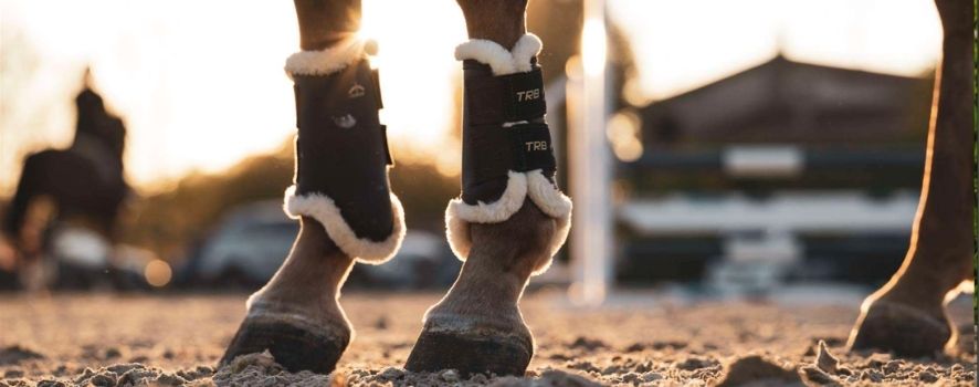 Training & Turnout Boot Save the Sheep Front