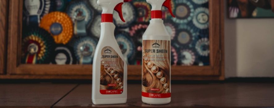 Shampoo Sheen